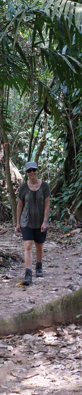 Durch Primärregenwald wandern im Tapanti Nationalpark